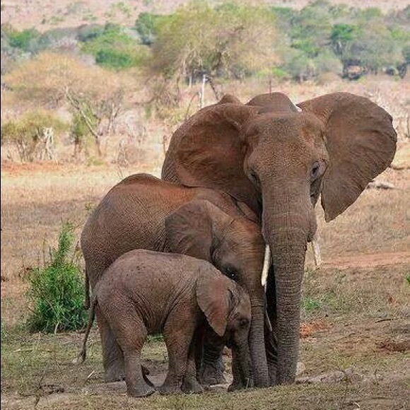 Bundle Up For a Discount! - Picture 6 of 7